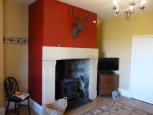 Living room - wood burner